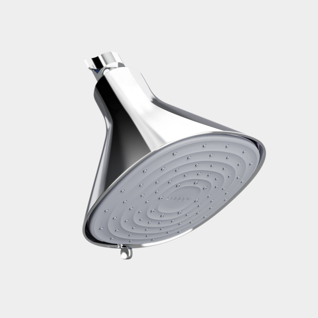 Filtered Showerhead Canopy