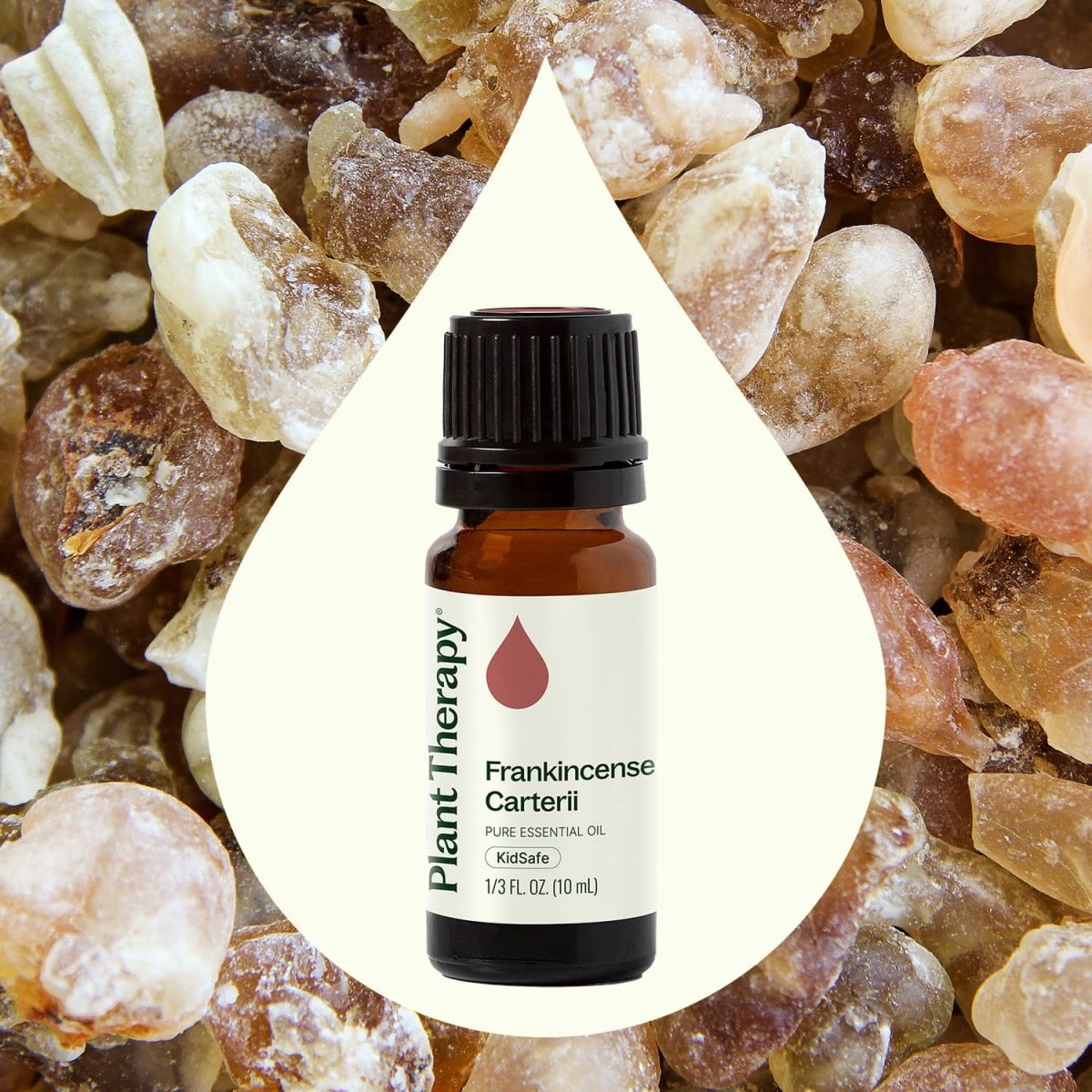 Frankincense Carterii Essential Oil Plant Therapy