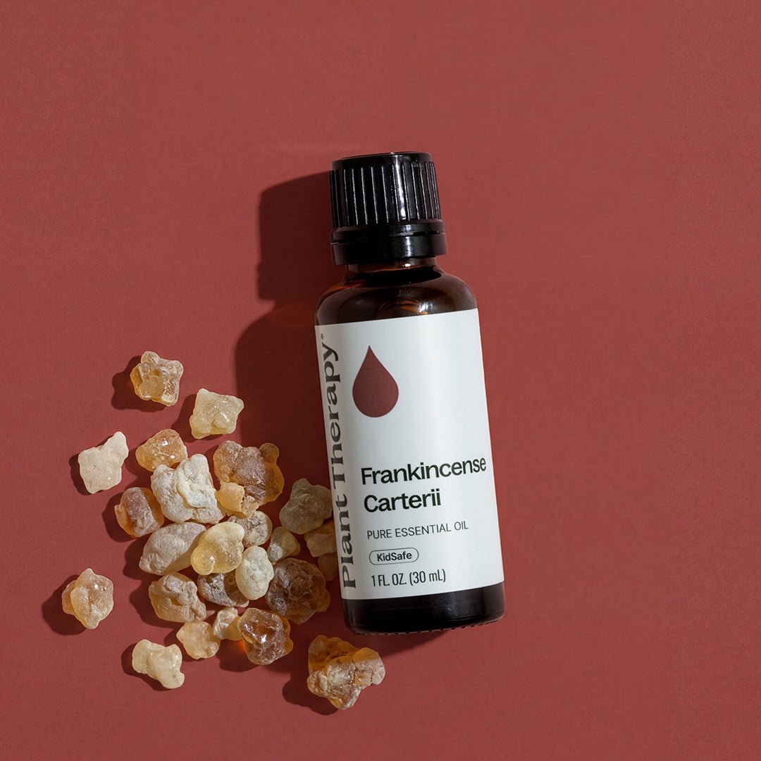 Frankincense Carterii Essential Oil Plant Therapy