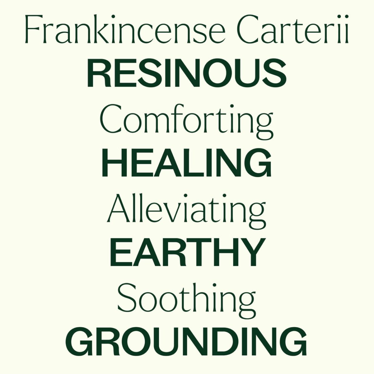 Frankincense Carterii Essential Oil Plant Therapy