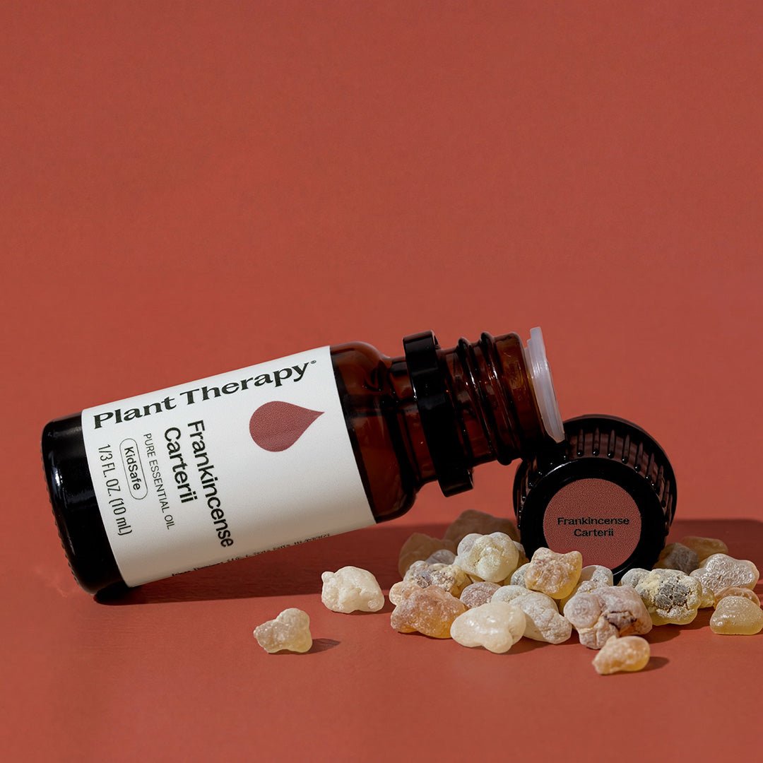 Frankincense Carterii Essential Oil Plant Therapy