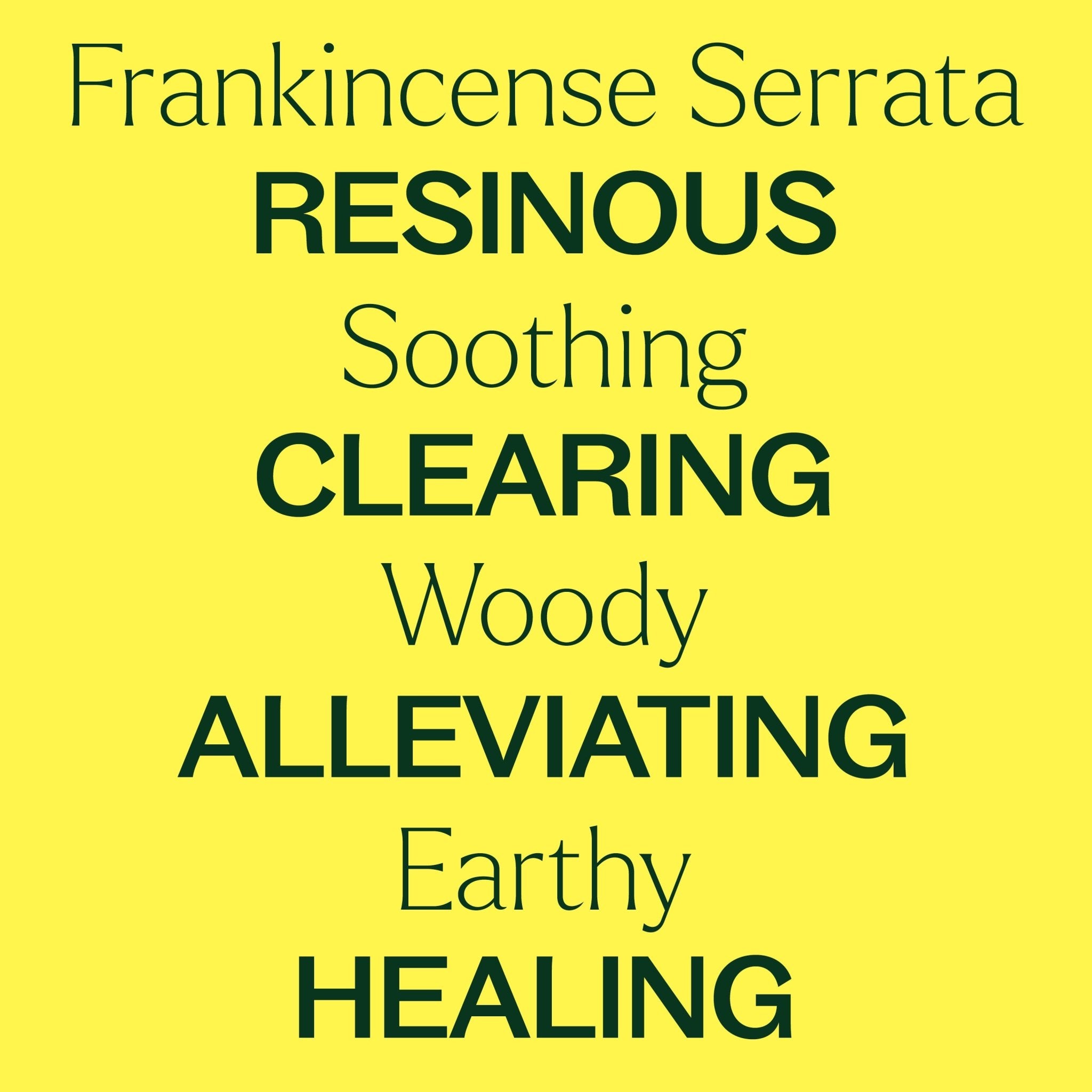 Frankincense Serrata Essential Oil Plant Therapy