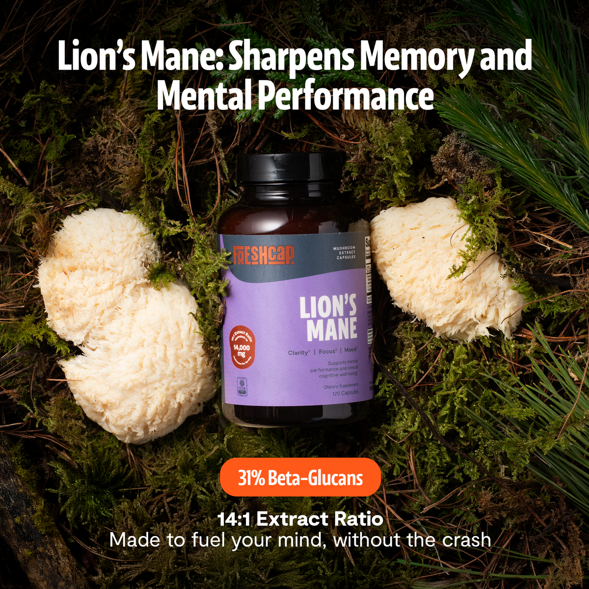 FreshCap Mushrooms Lion's Mane Capsules on moss: sharpens memory, 31% beta-glucans, 14:1 extract, 2nd view