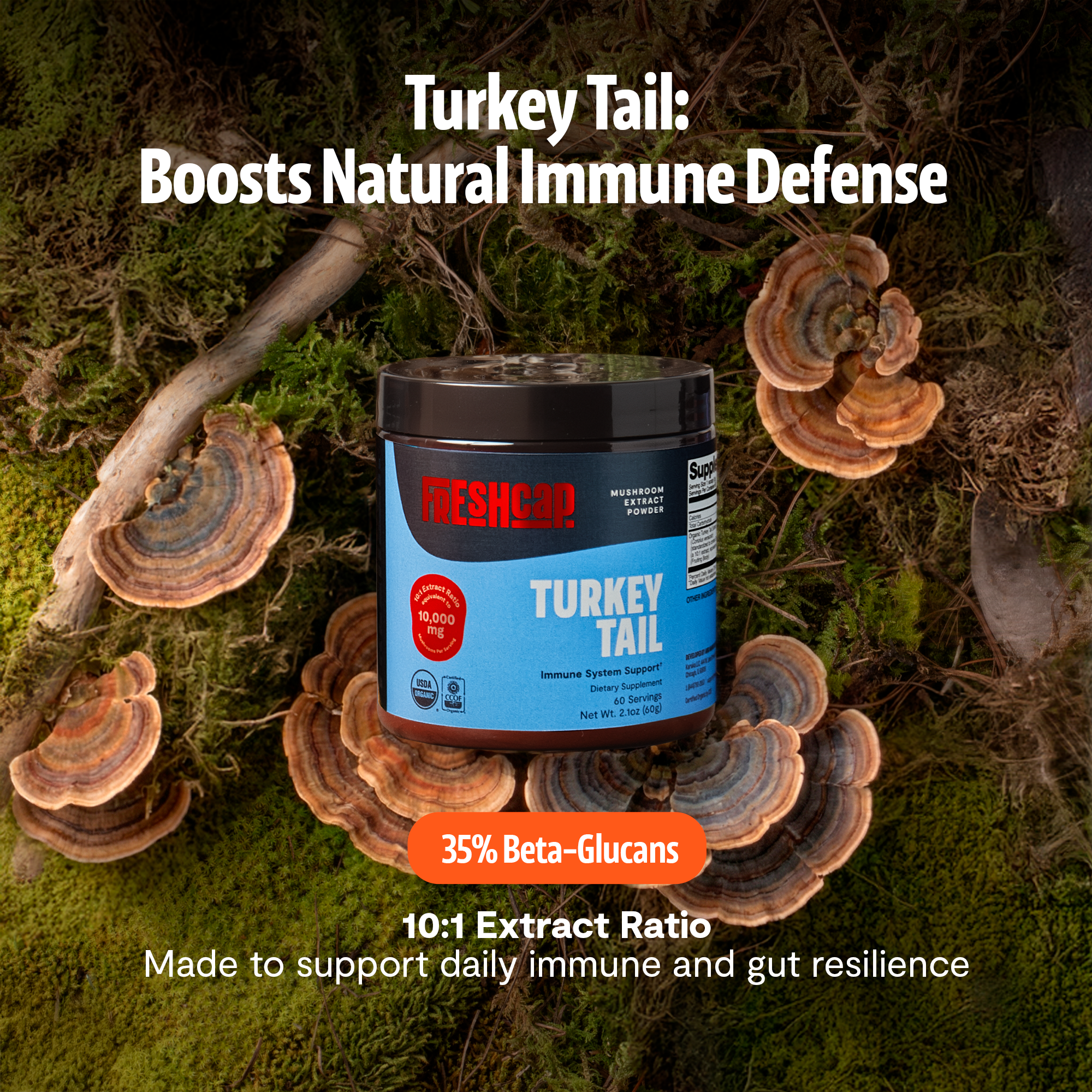 Turkey Tail Mushroom Extract Powder