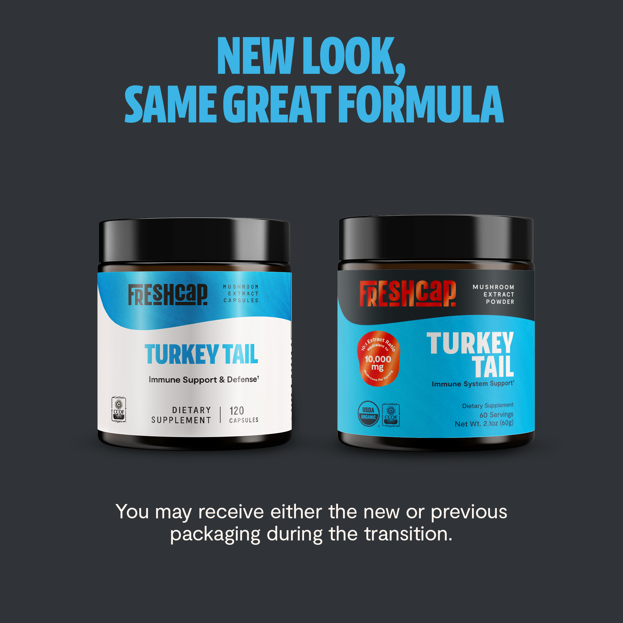 Turkey Tail Mushroom Extract Powder