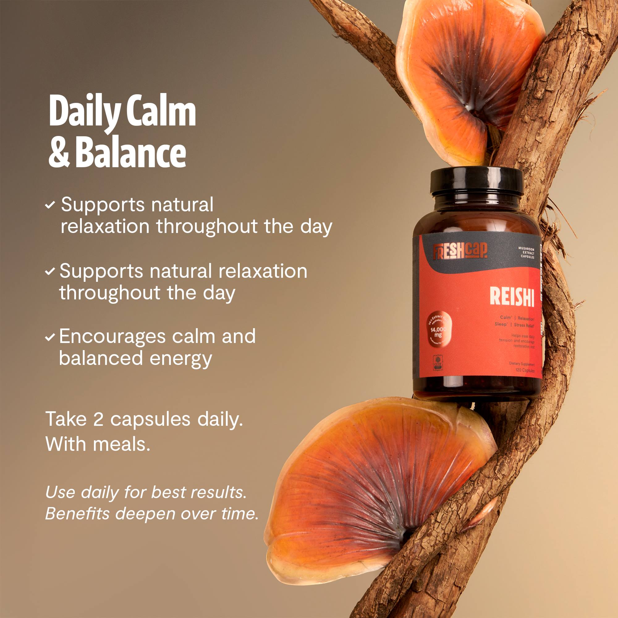 Reishi Mushroom Extract Capsules
