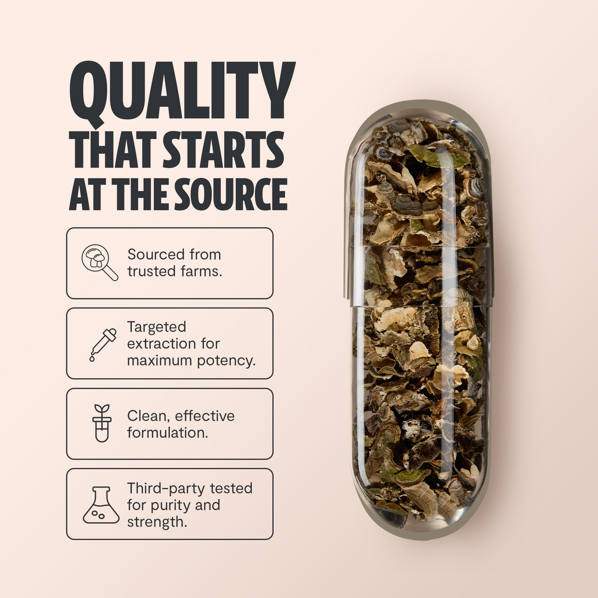 FreshCap Mushrooms Turkey Tail Capsules: quality starts at the source, with turkey tail in a clear capsule