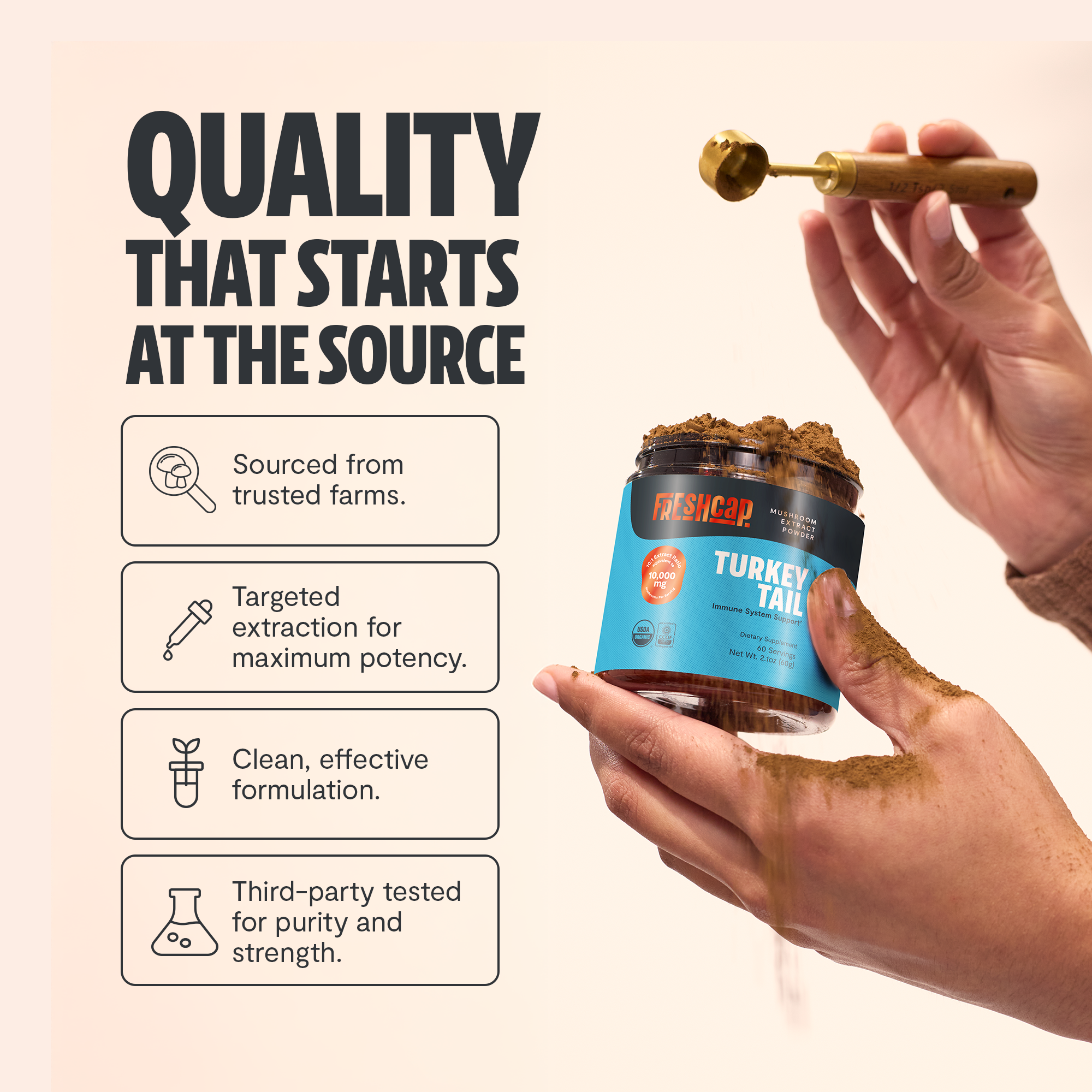 Turkey Tail Mushroom Extract Powder