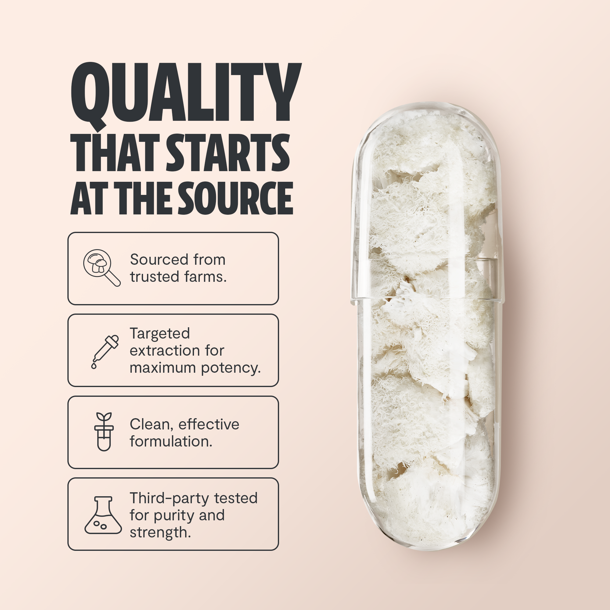 Lion's Mane Mushroom Extract Capsules