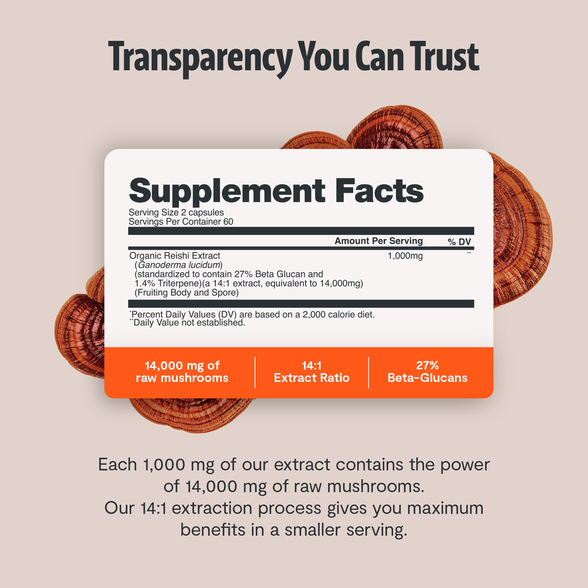 Reishi Mushroom Extract Capsules