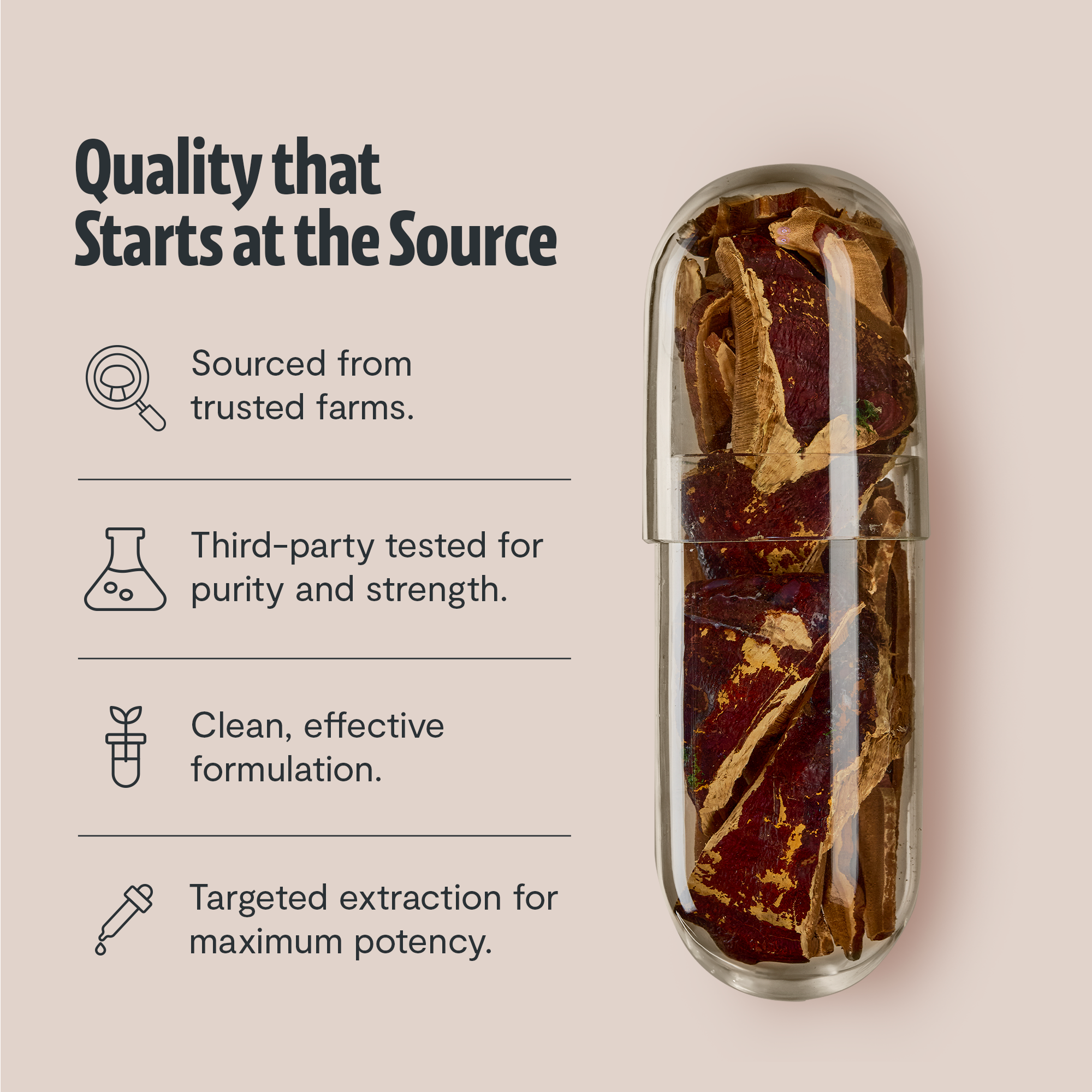 Reishi Mushroom Extract Capsules