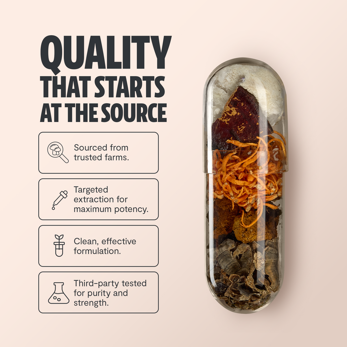 FreshCap Mushrooms Mushroom Complex Capsules: quality at the source, with mushrooms in a capsule, tested, with lion's mane