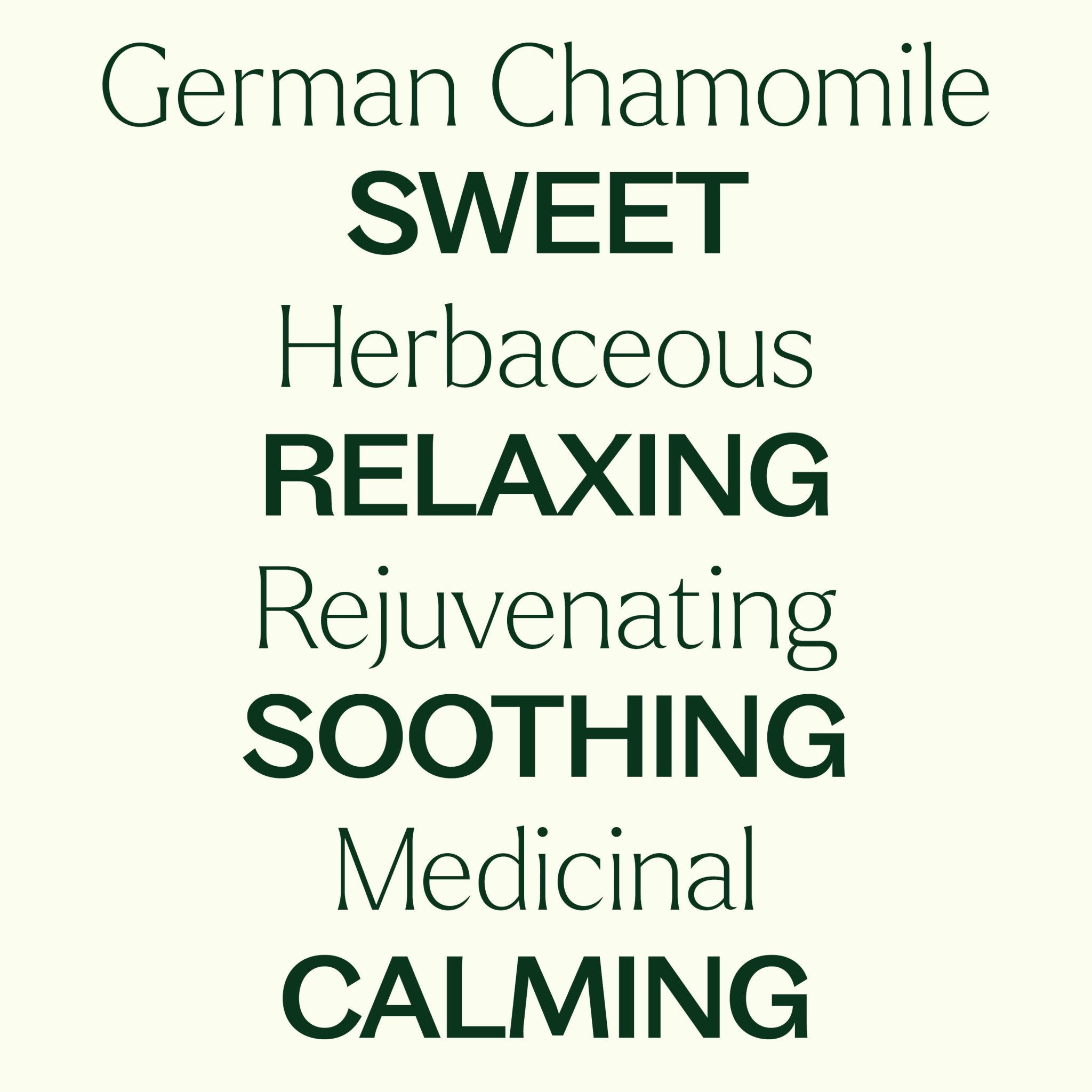 German Chamomile Essential Oil Plant Therapy