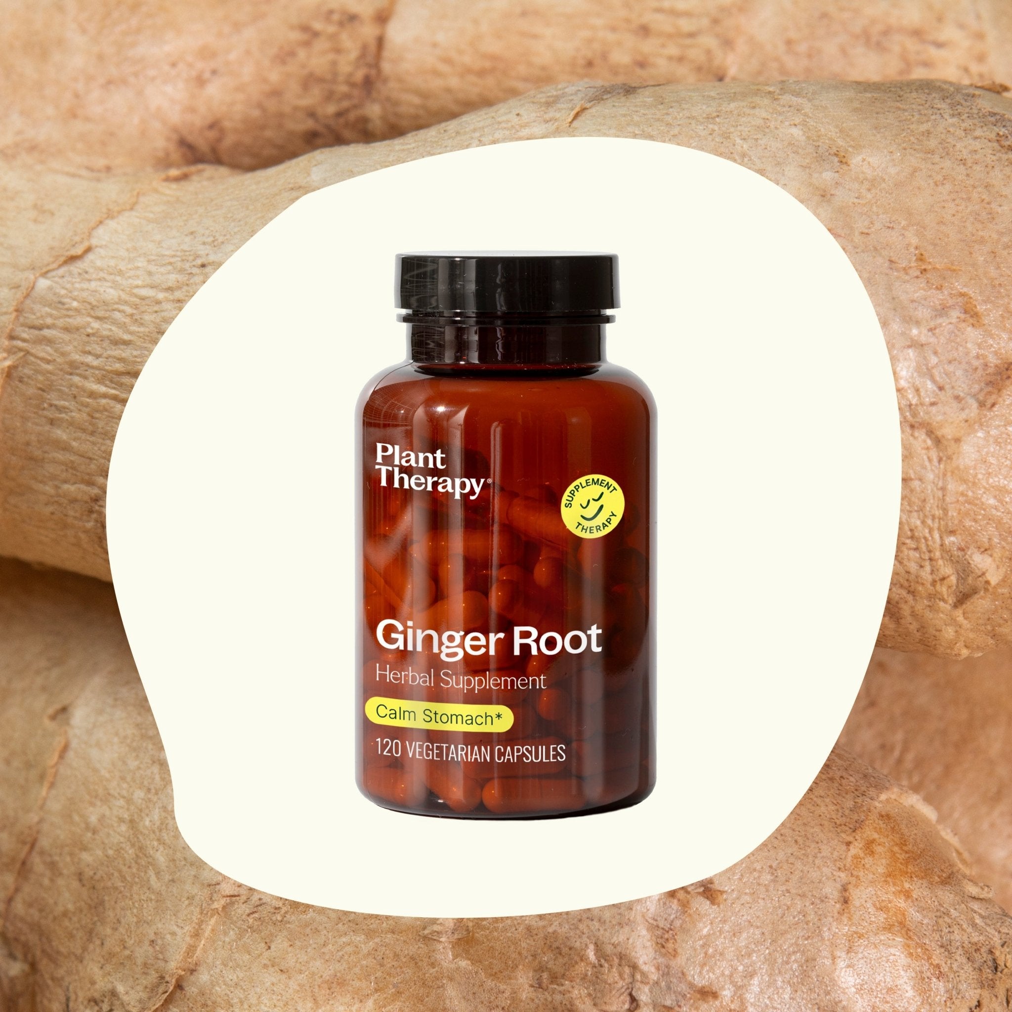 Ginger Root Herbal Supplement - 120 Capsules Plant Therapy