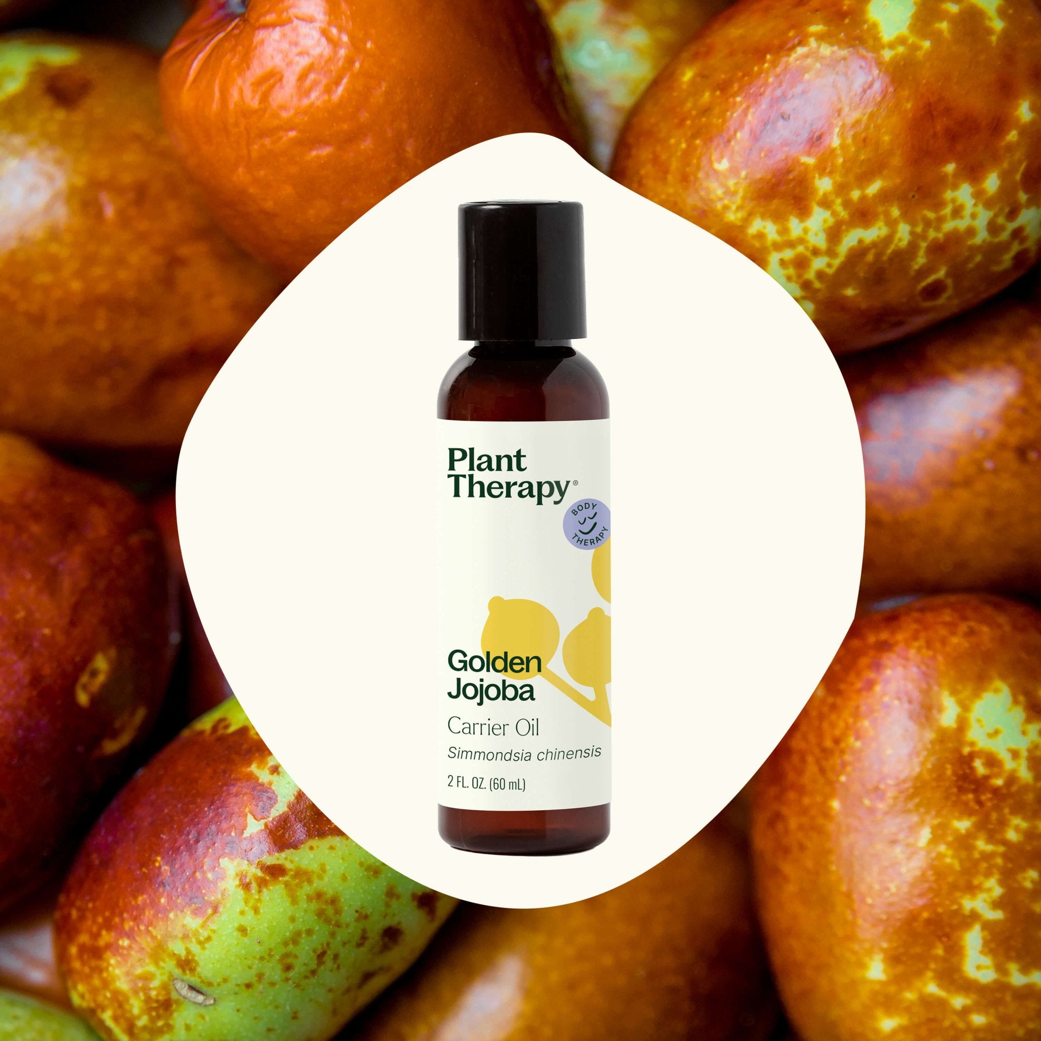 Golden Jojoba Carrier Oil Plant Therapy