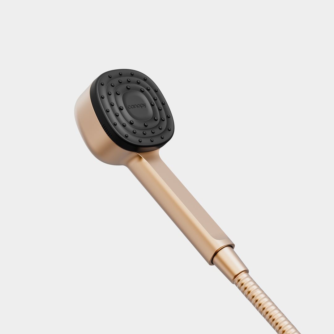 Handheld Filtered Showerhead Canopy