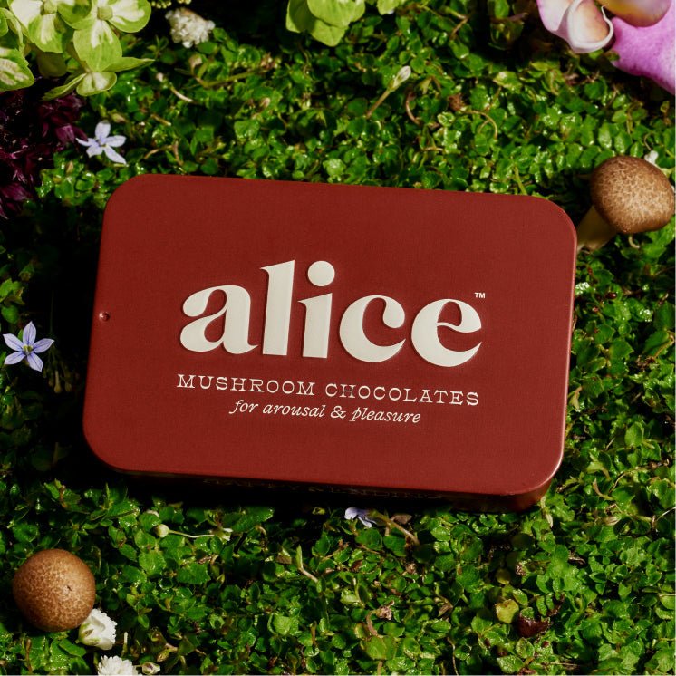 Happy Ending Functional Mushroom Chocolates alice mushrooms