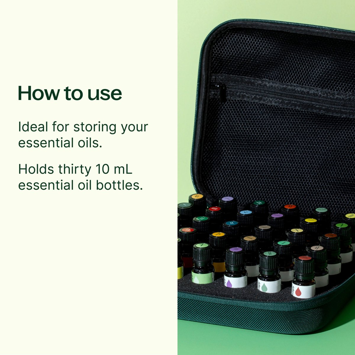 Hard - Top Carrying Case Large Dark Green (30 Count) Plant Therapy