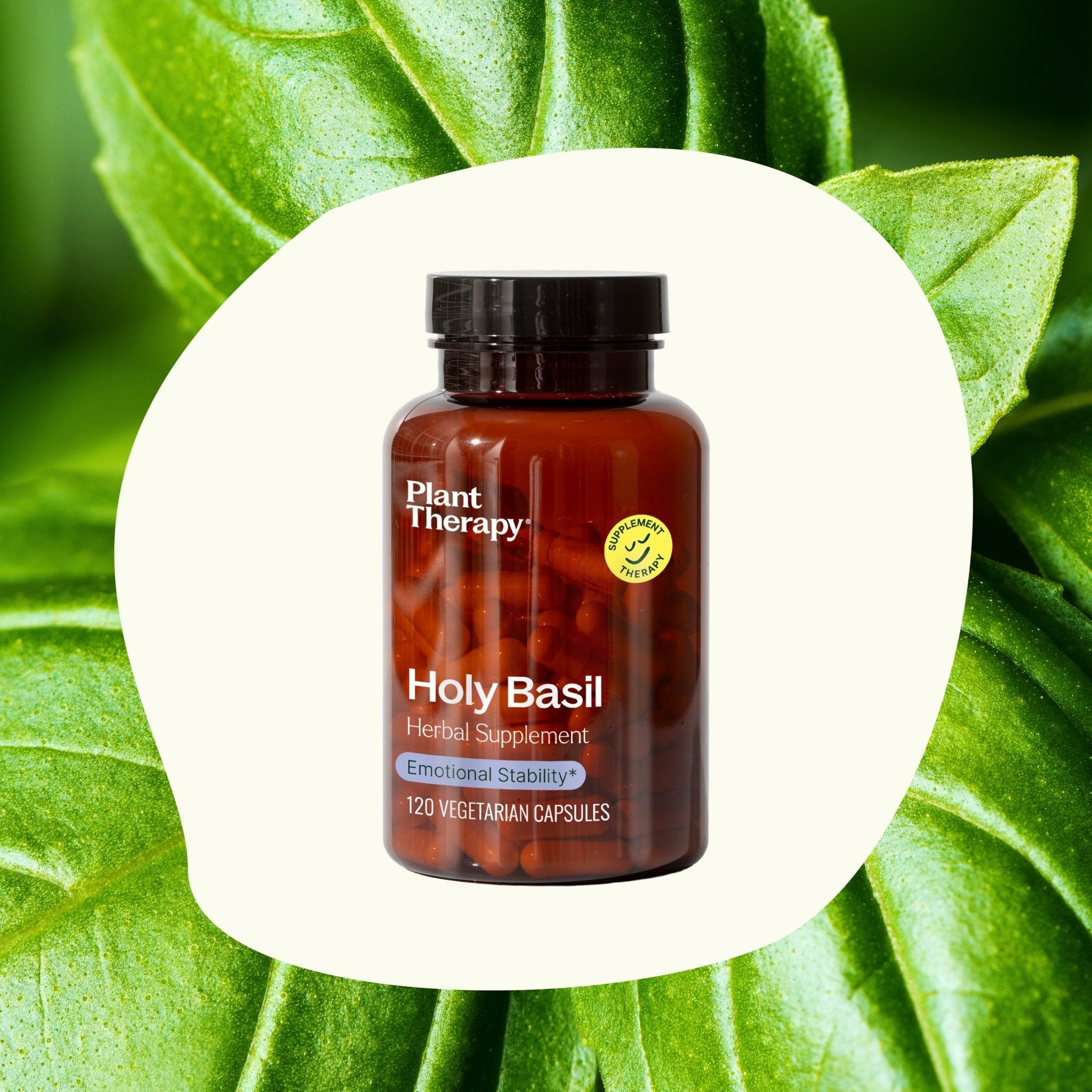 Holy Basil Herbal Supplement - 120 Capsules Plant Therapy