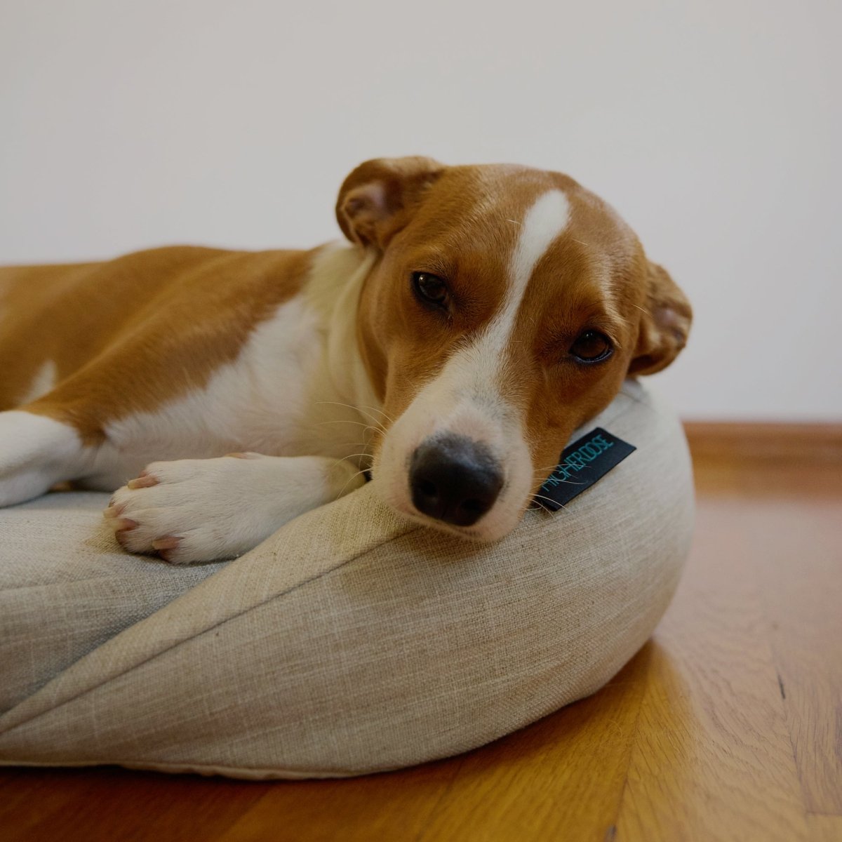 Infrared PEMF Pet Bed HigherDOSE