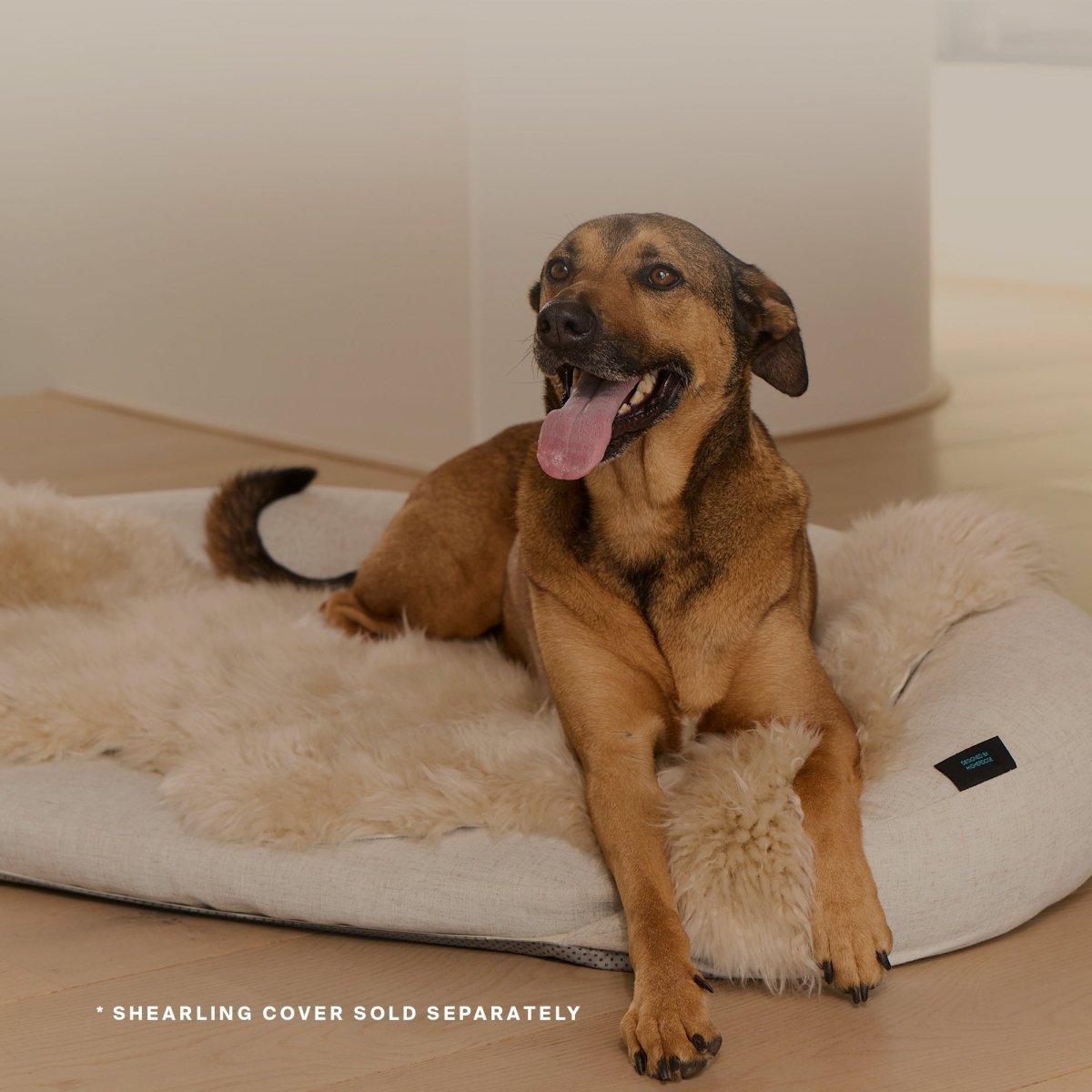 Infrared PEMF Pet Bed HigherDOSE