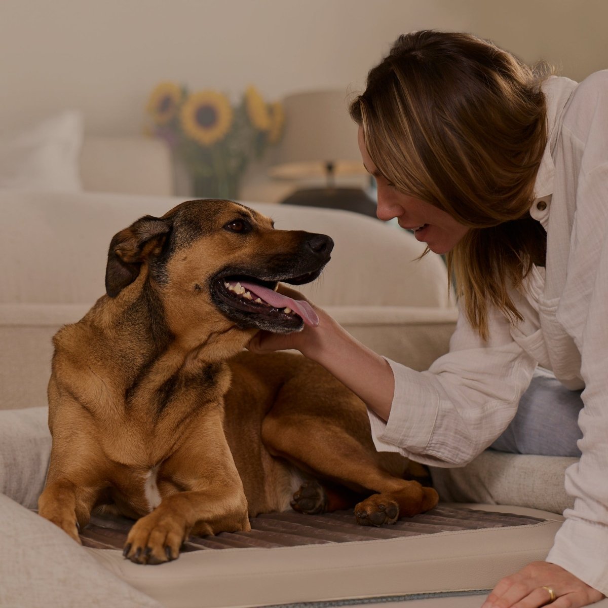 Infrared PEMF Pet Bed HigherDOSE