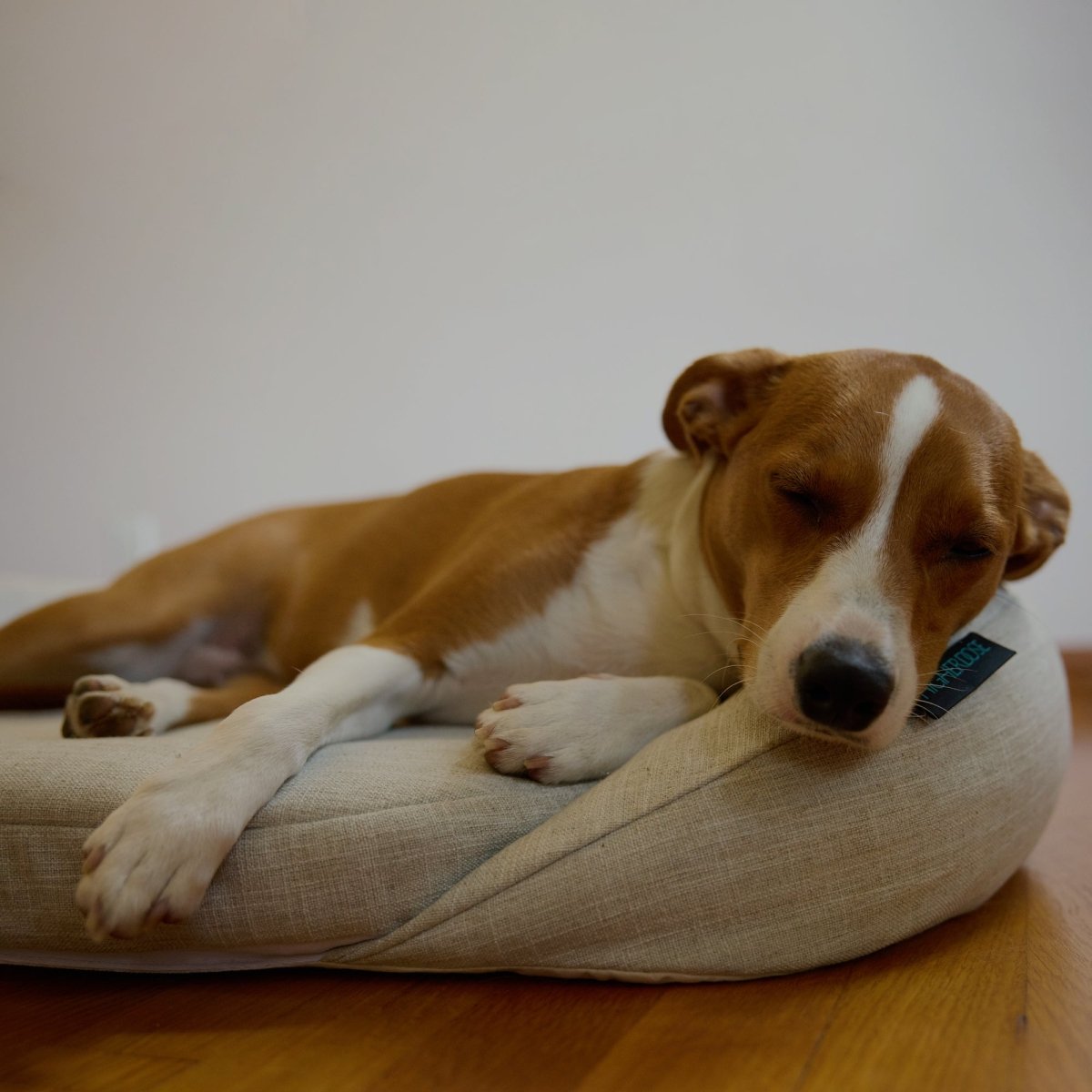 Infrared PEMF Pet Bed HigherDOSE