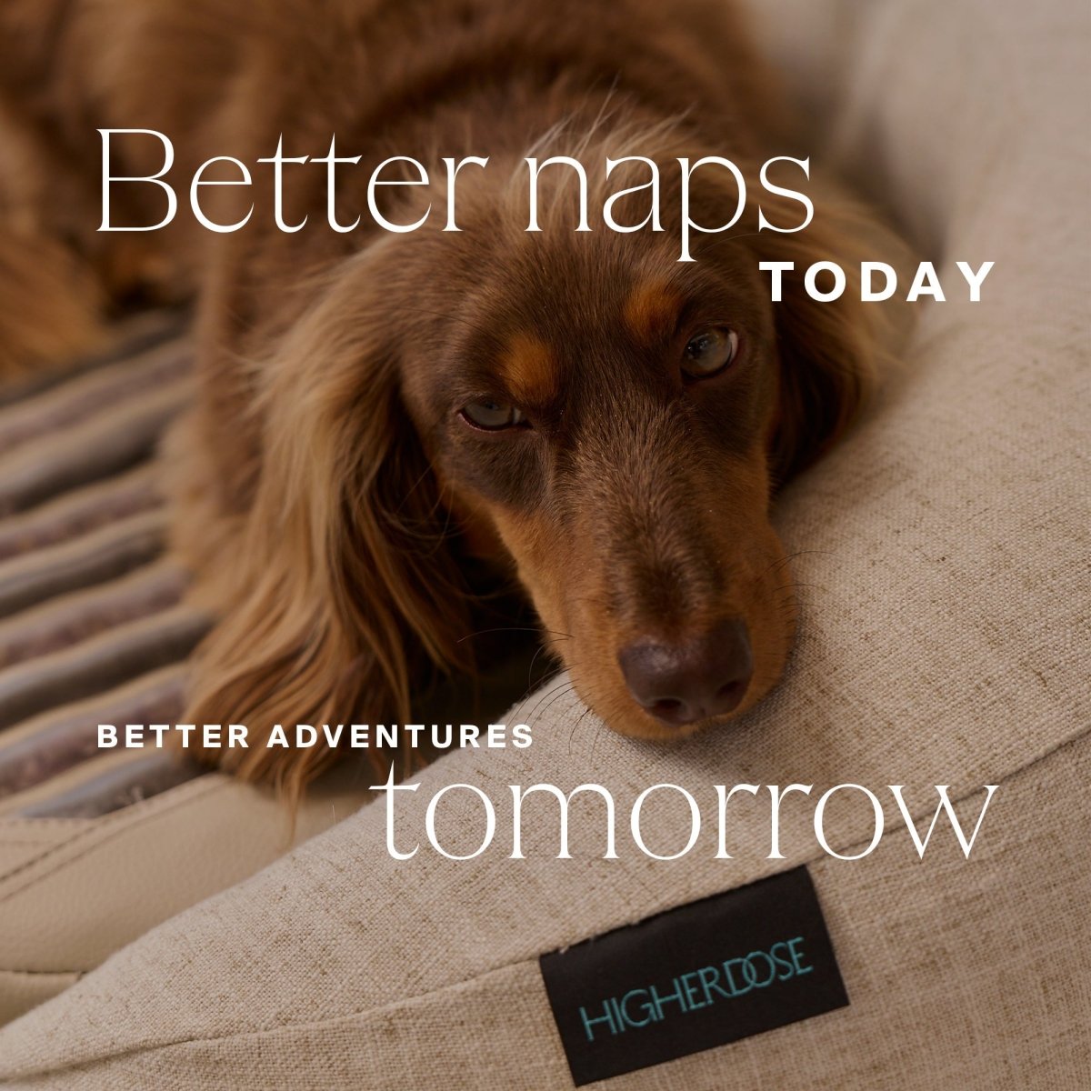 Infrared PEMF Pet Bed HigherDOSE