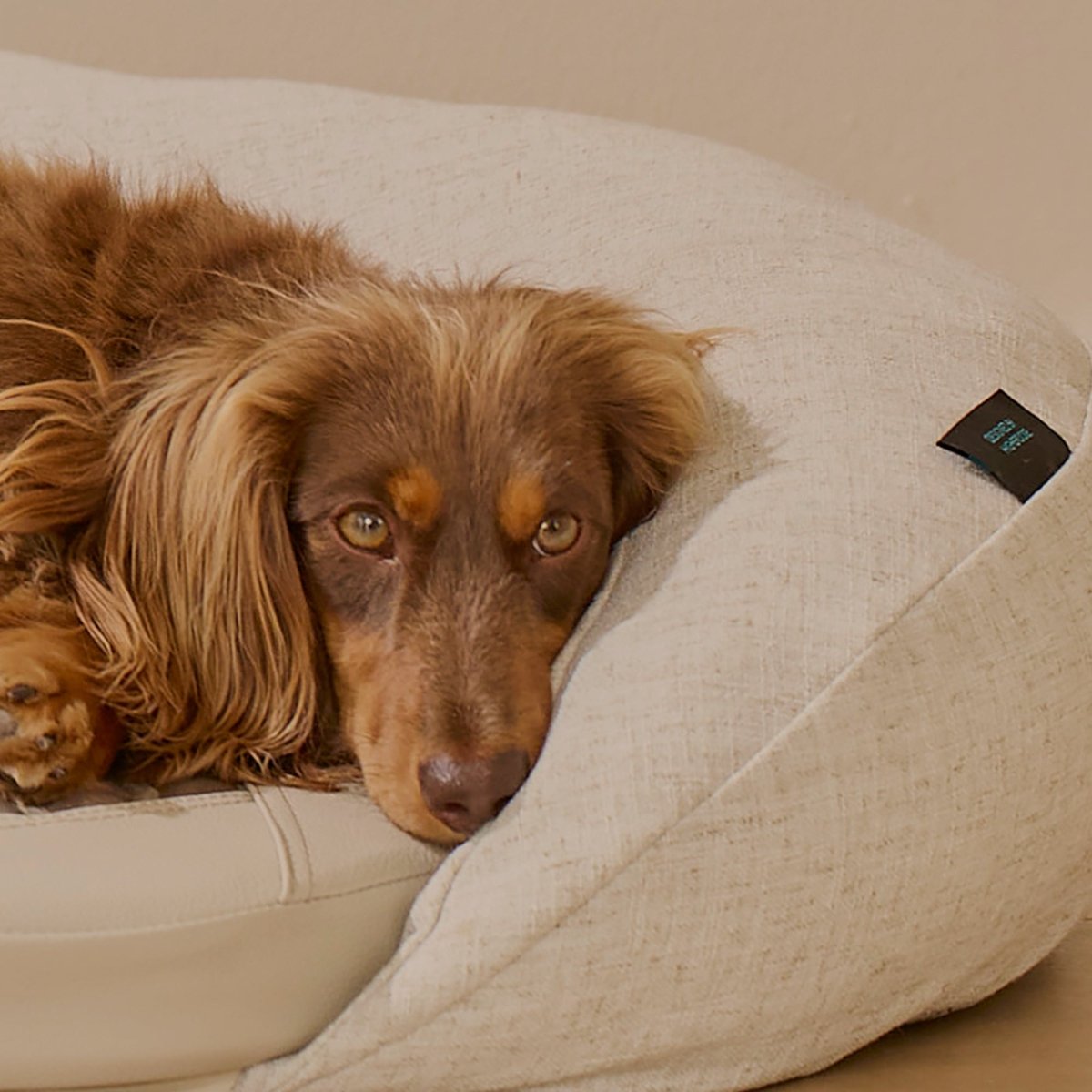 Infrared PEMF Pet Bed HigherDOSE