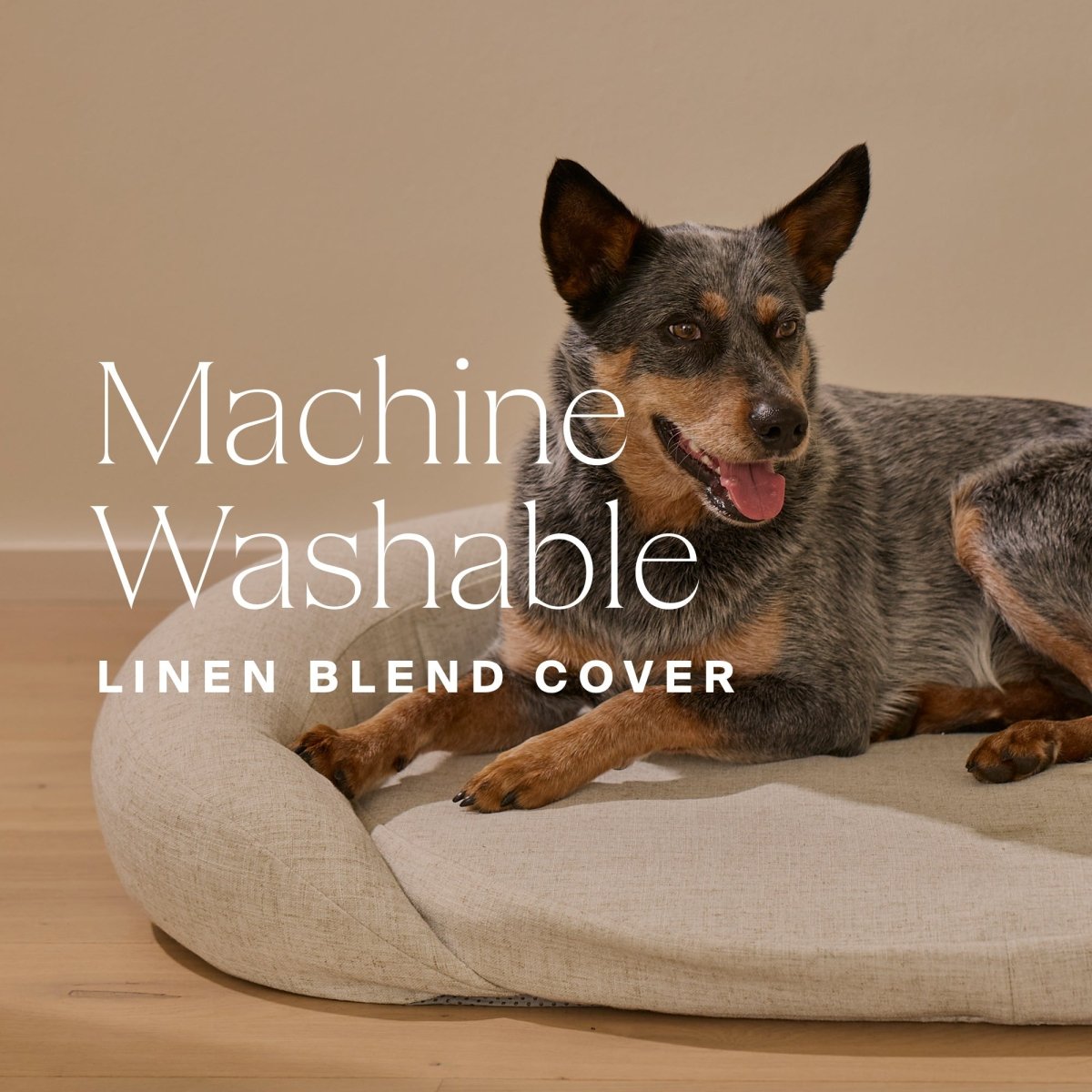 Infrared PEMF Pet Bed HigherDOSE