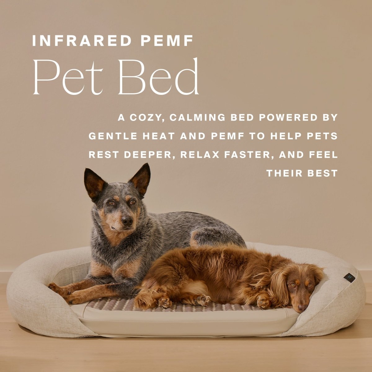 Infrared PEMF Pet Bed HigherDOSE