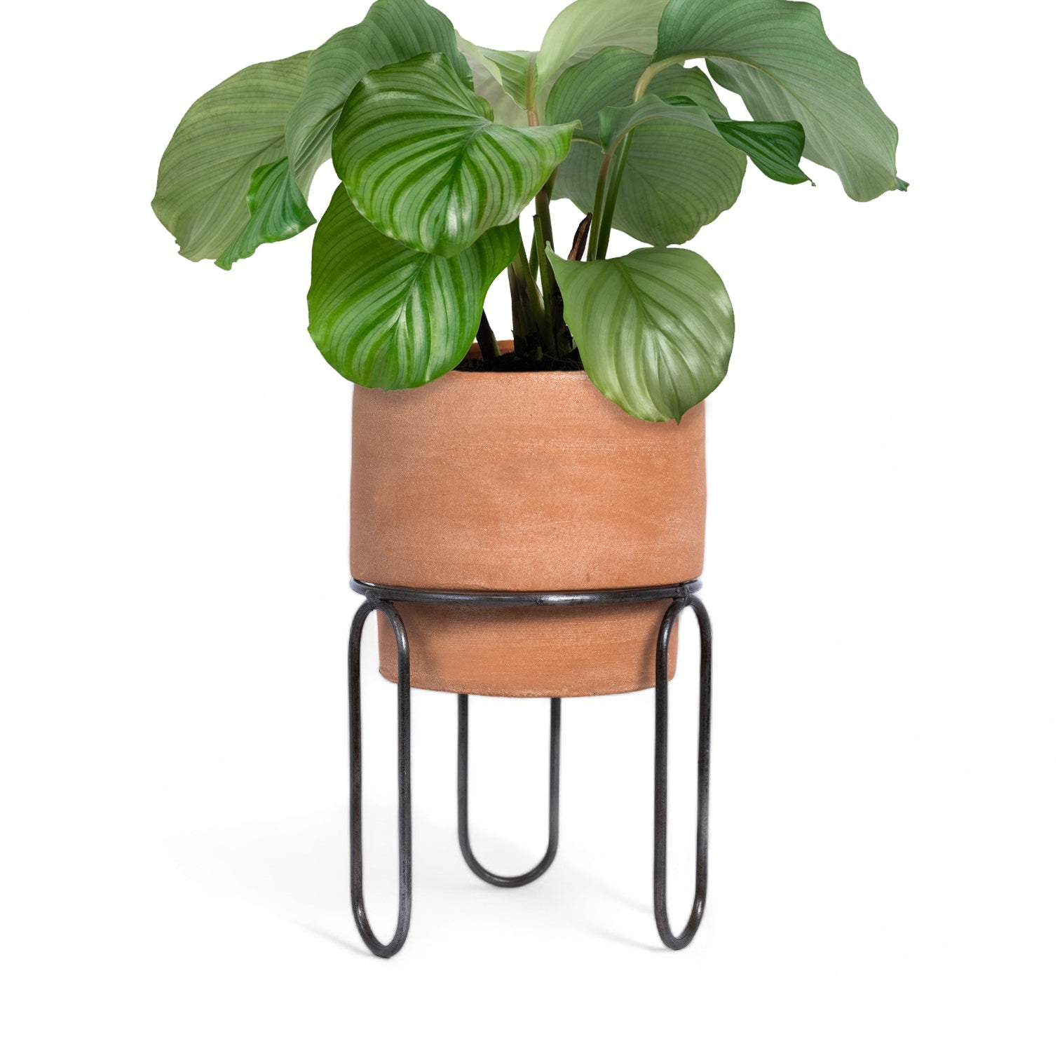 Jaro Short Terracotta Planter by MESO MESO