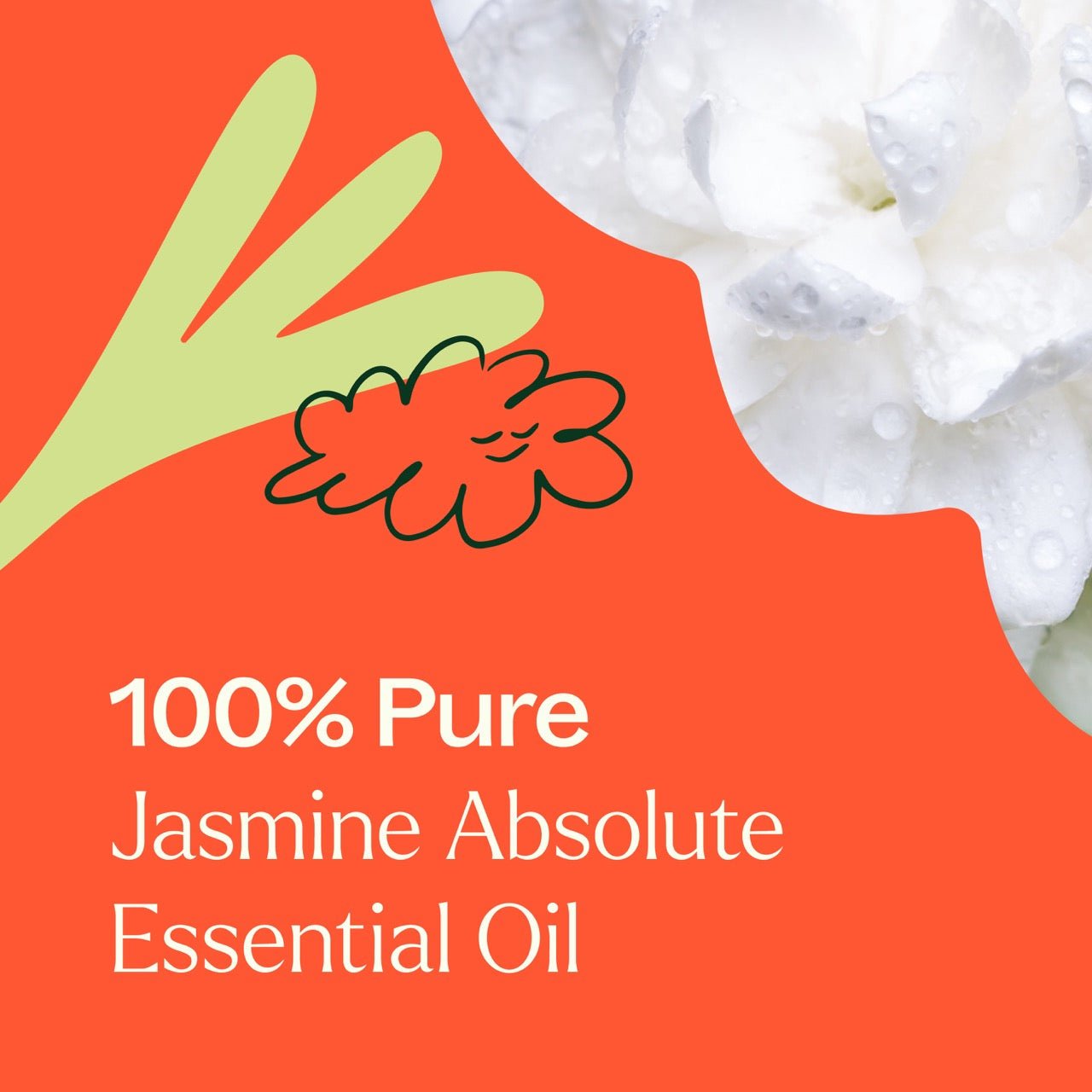 Jasmine Sambac Absolute Plant Therapy