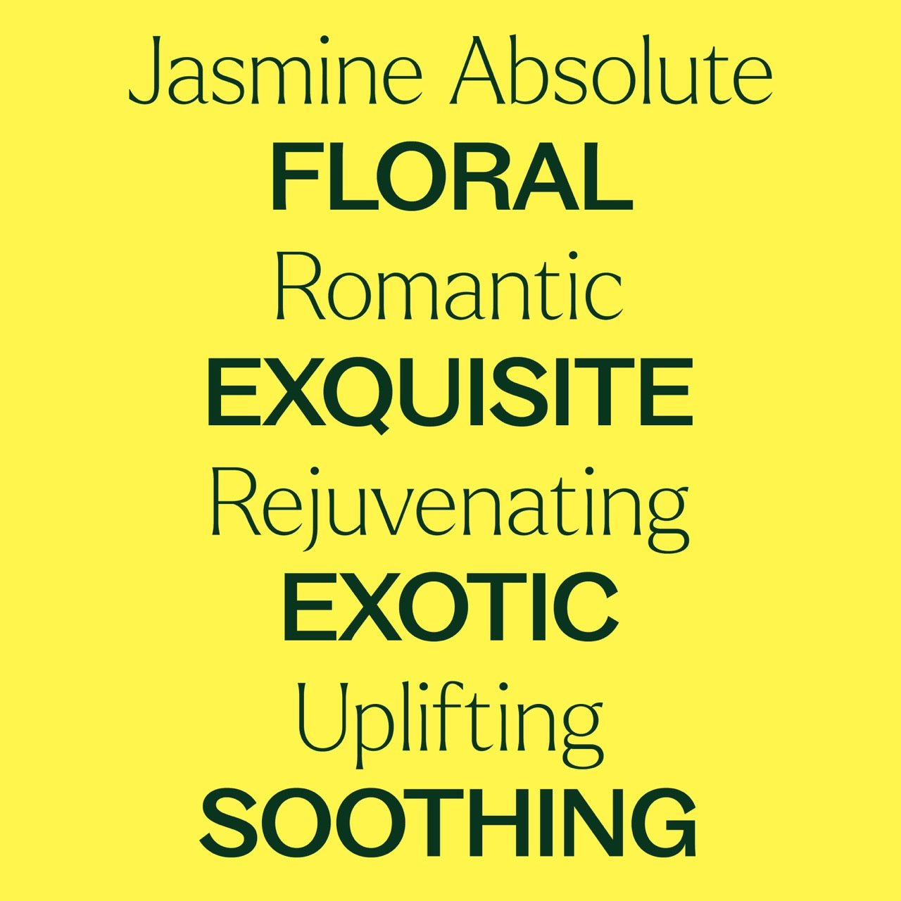 Jasmine Sambac Absolute Plant Therapy