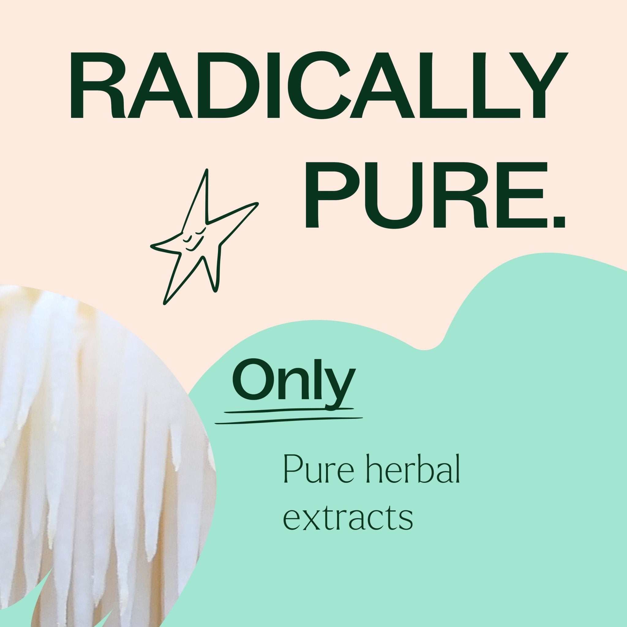 Lion's Mane Herbal Supplement - 120 Capsules Plant Therapy