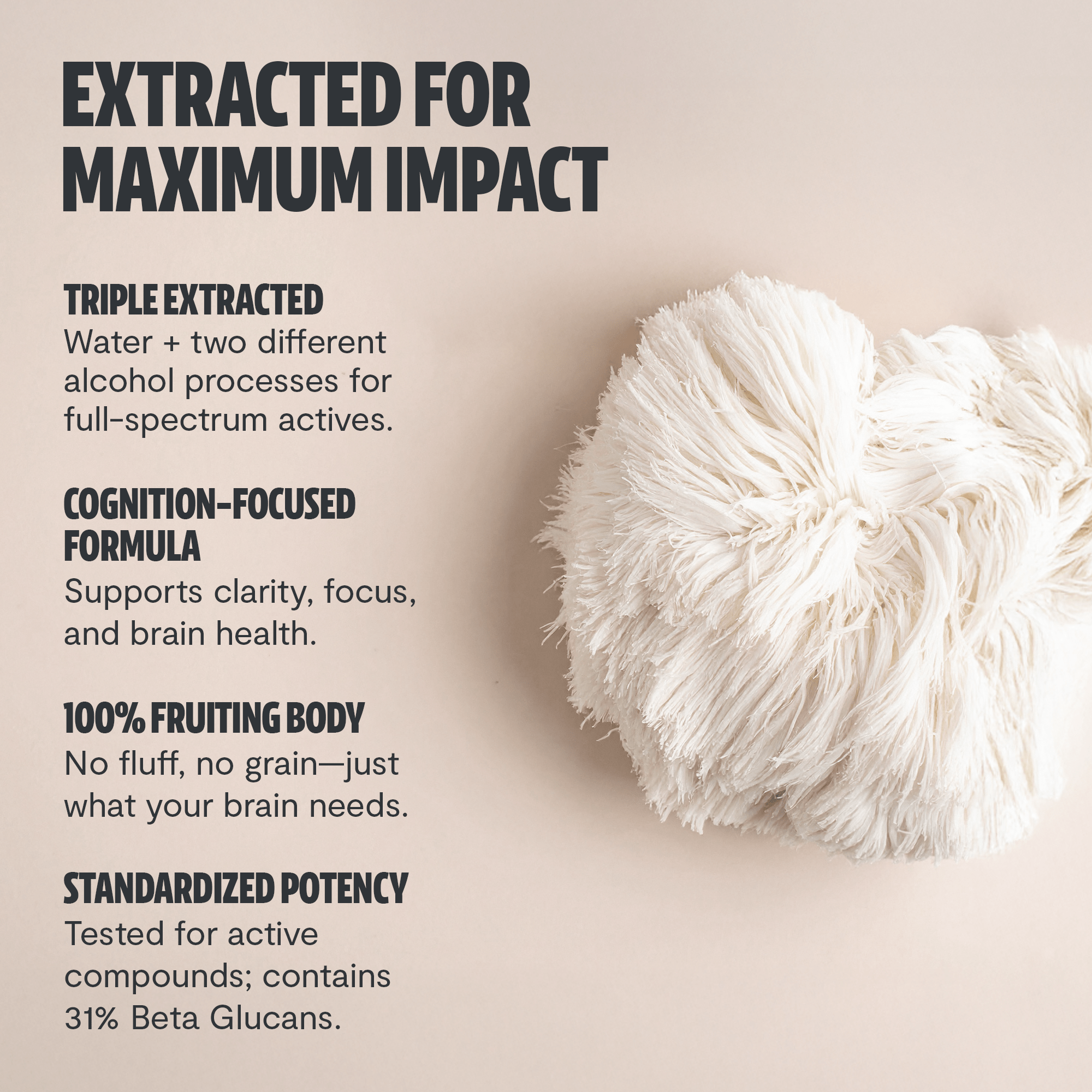 Lion's Mane Mushroom Extract Capsules FreshCap Mushrooms