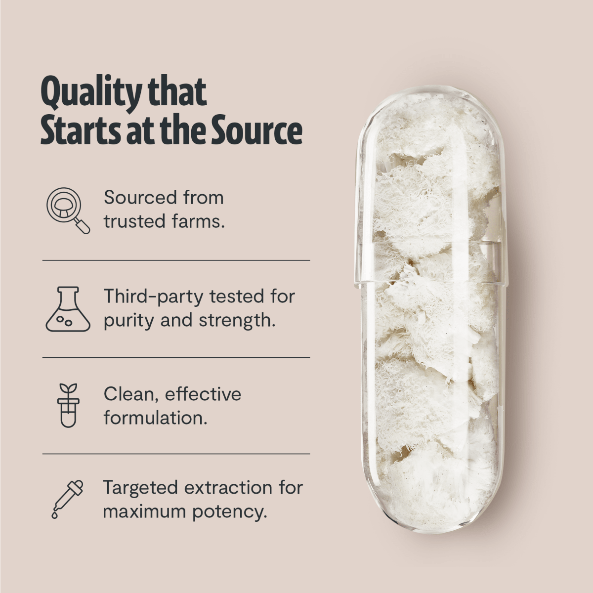 FreshCap Mushrooms Lion's Mane Capsules: quality starts at the source, with lion's mane in a clear capsule, tested, 2nd view