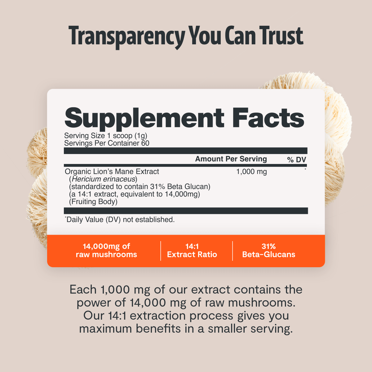 Lion's Mane Mushroom Extract Powder FreshCap Mushrooms
