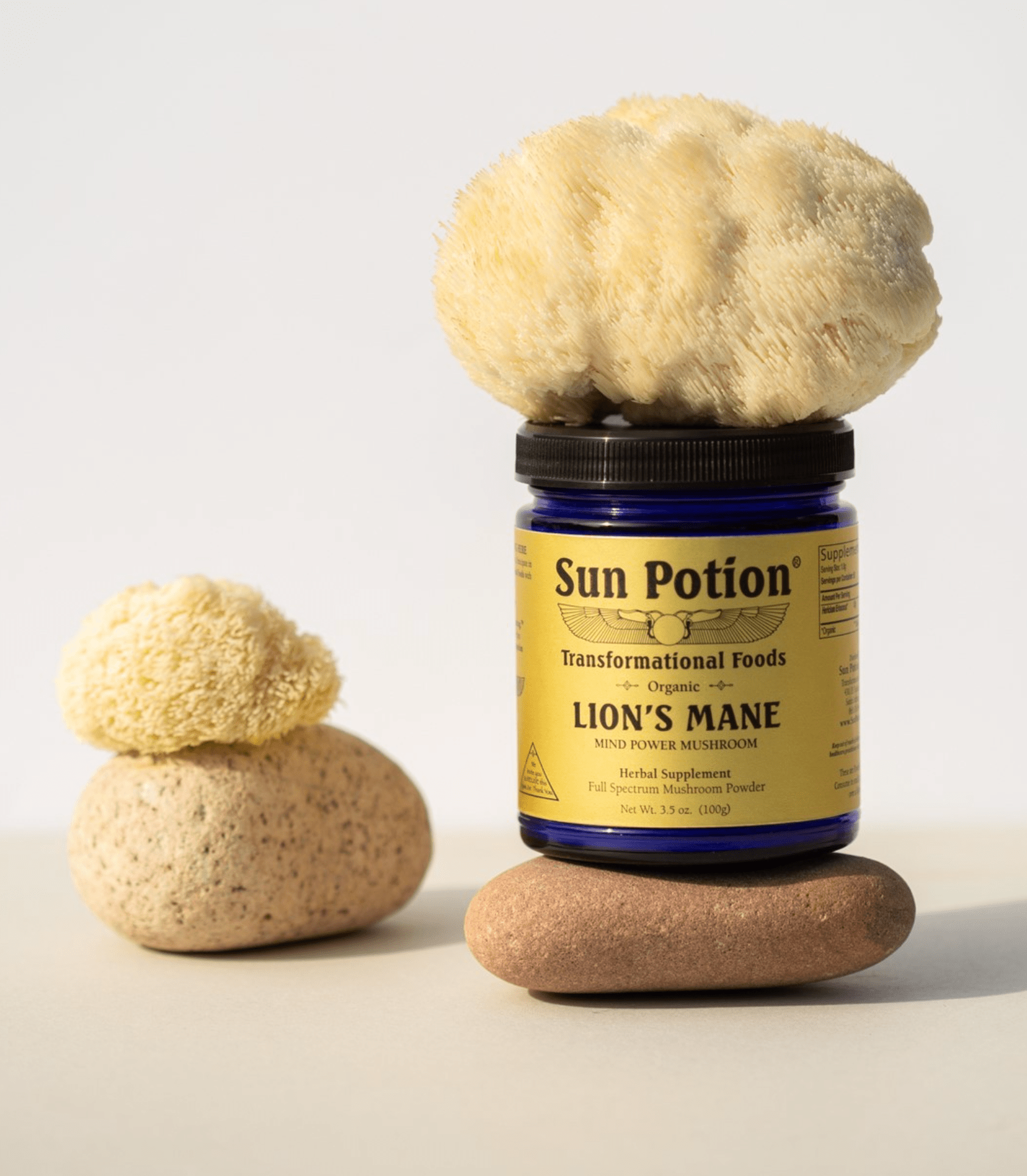 Lion's Mane (Organic) 100 grams Sun Potion