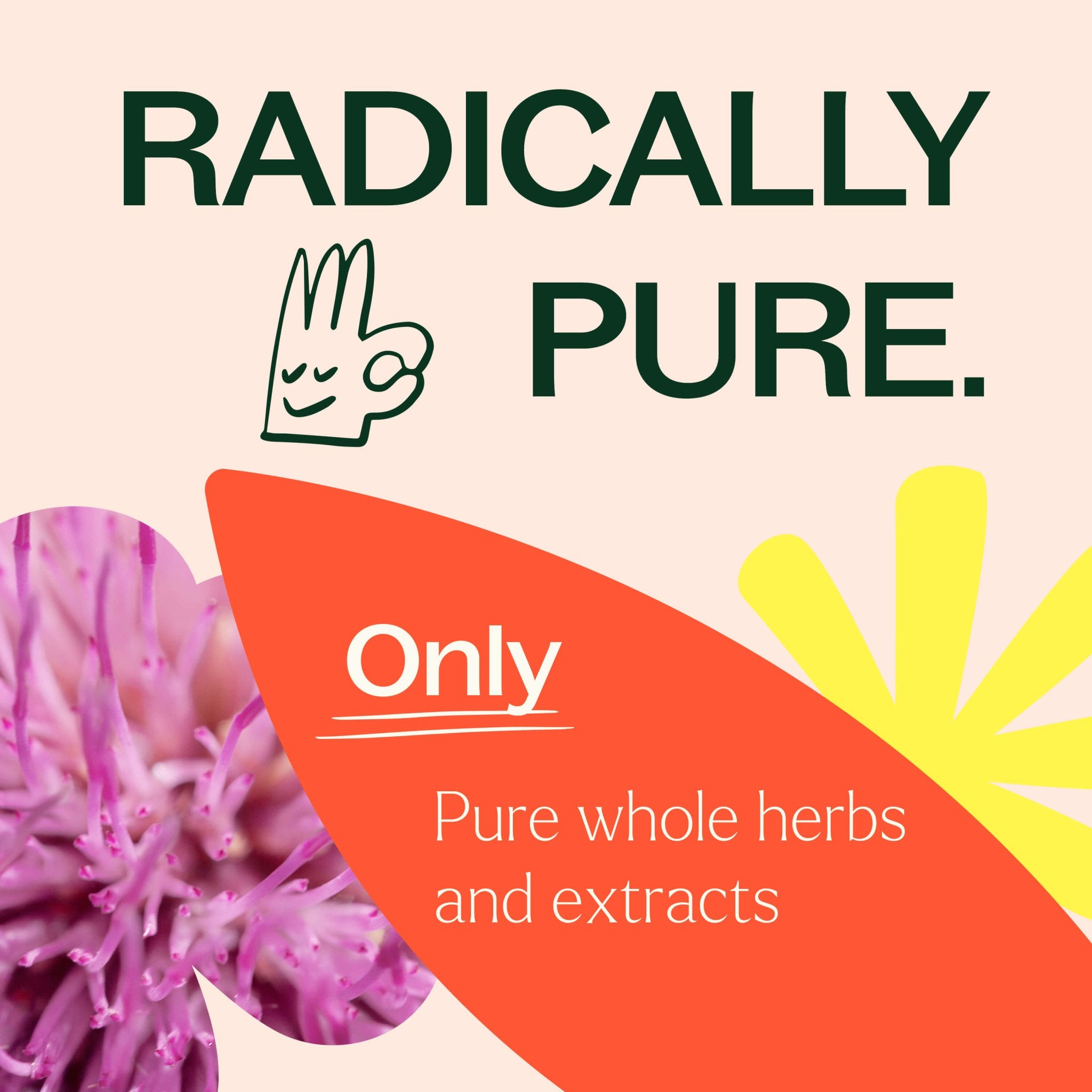 Liver Tonic Herbal Supplement - 120 Capsules Plant Therapy