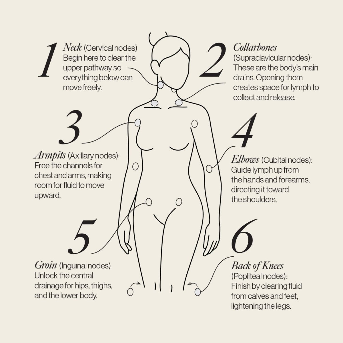 Lymphatic Drainage Dots Esker