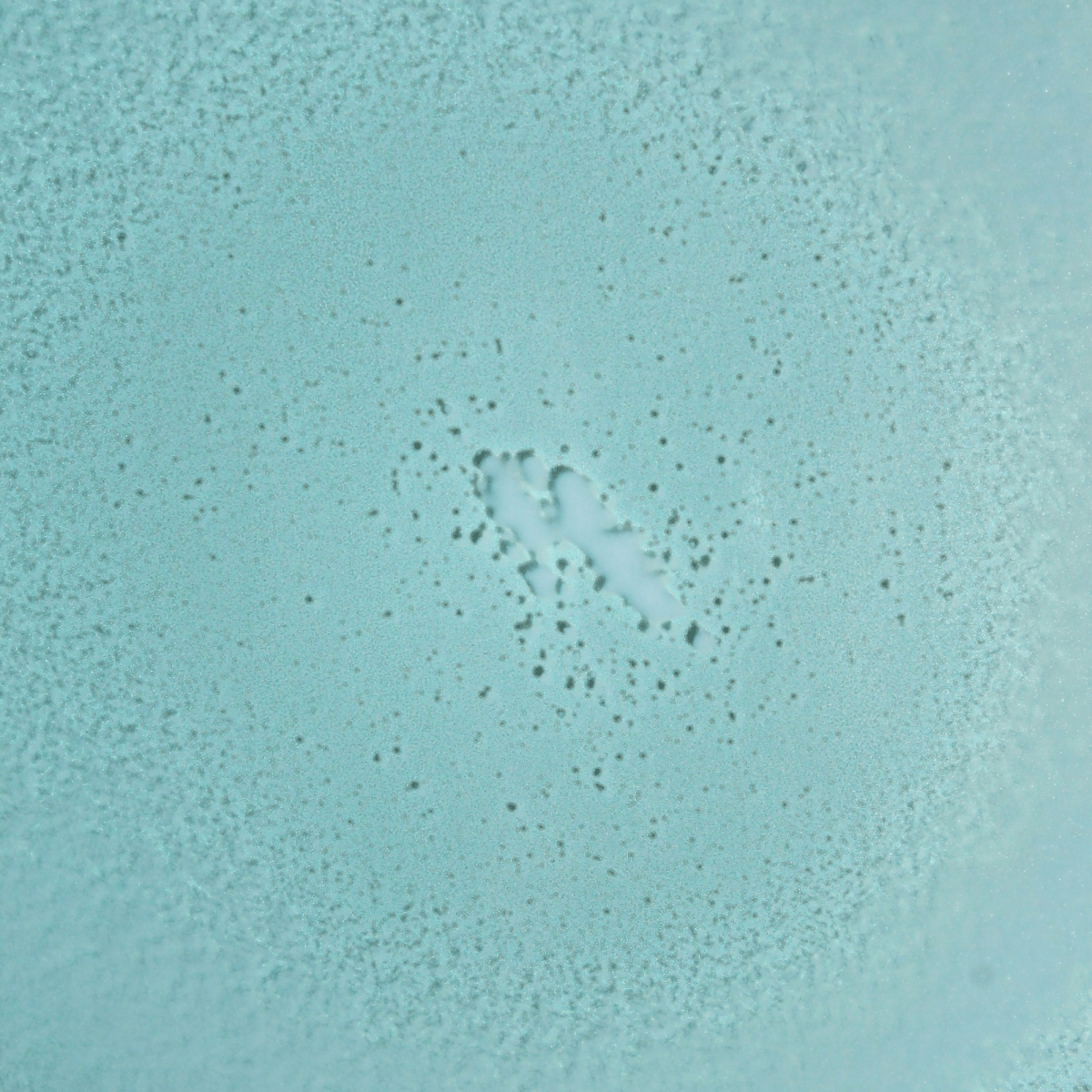 Mineral Fragrance-Free Non-Aerosol Spray Bask Suncare