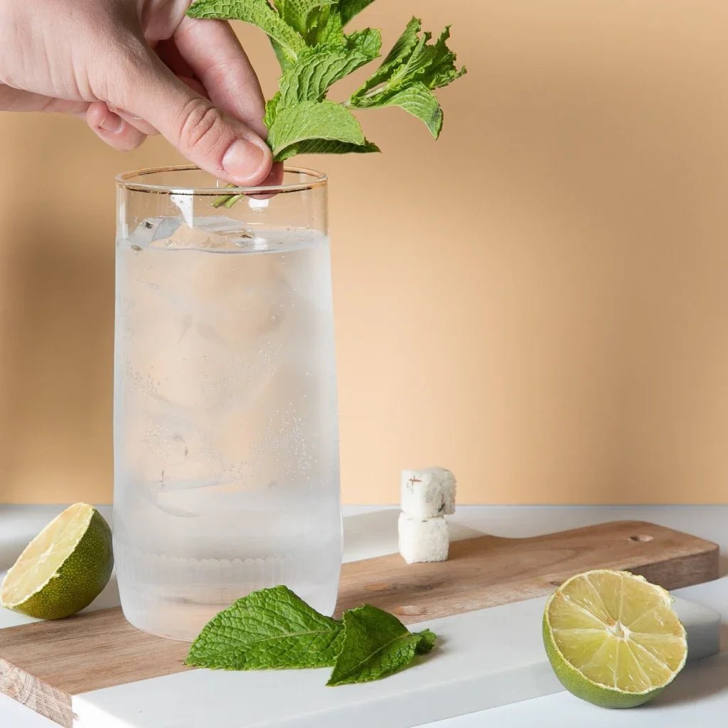 MOJITO | MIXOLOGY CUBE Teaspressa