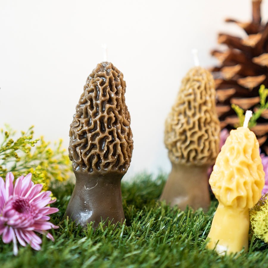 Morel Mushroom Beeswax Candle Happy Organics