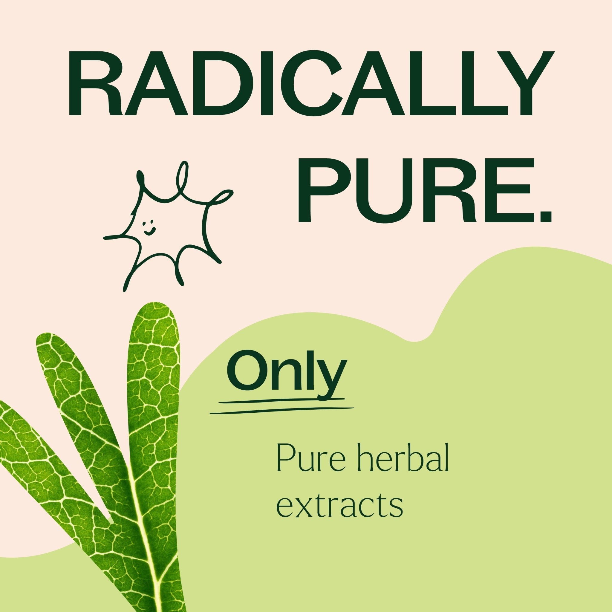 Moringa Herbal Supplement - 120 Capsules Plant Therapy