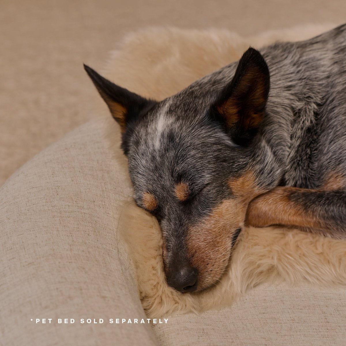 Natural Sheep Shearling Pet Bed Cover HigherDOSE