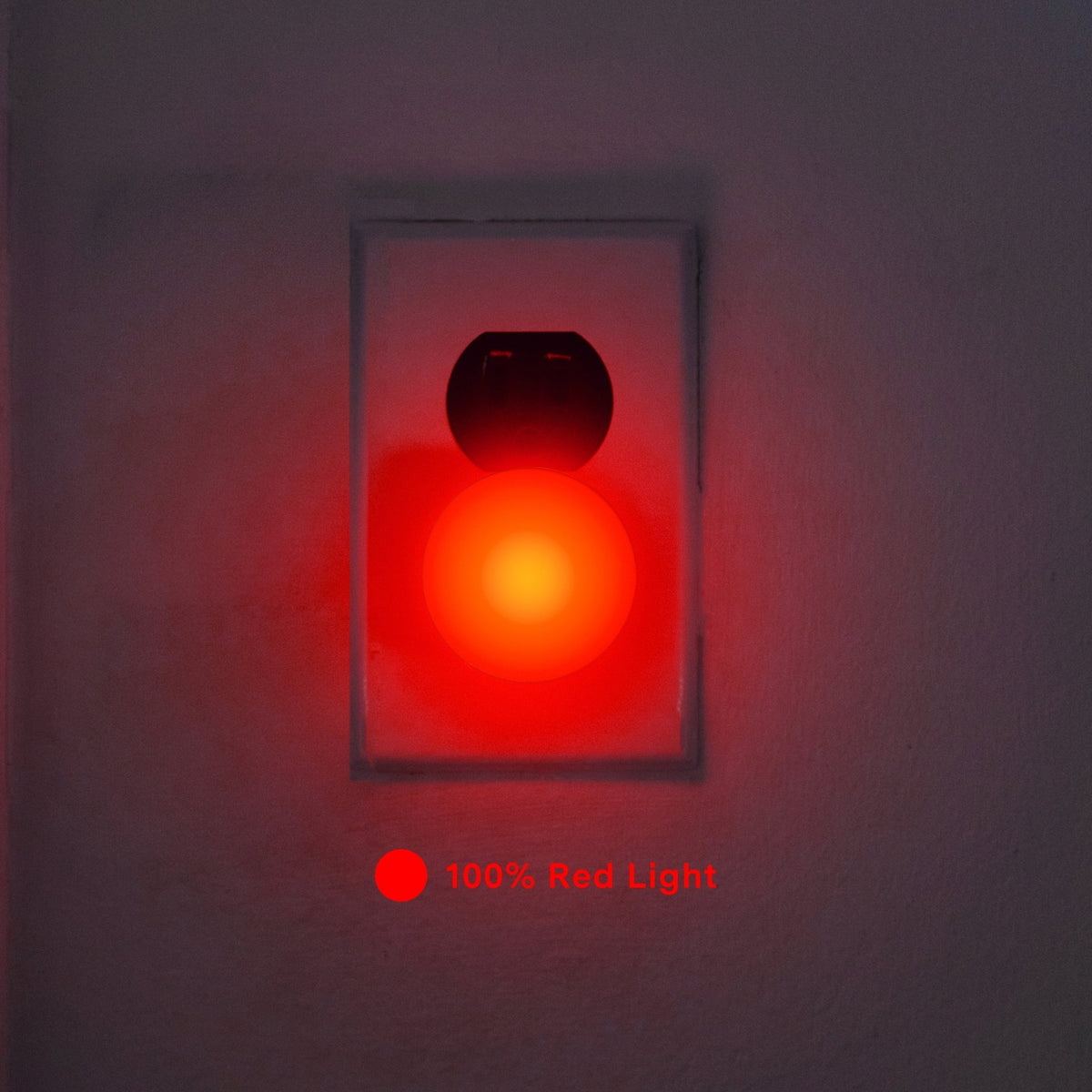 the red light <em>edit</em>