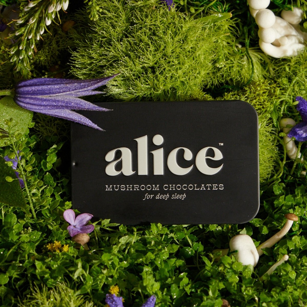 Nightcap Functional Mushroom Chocolates alice mushrooms