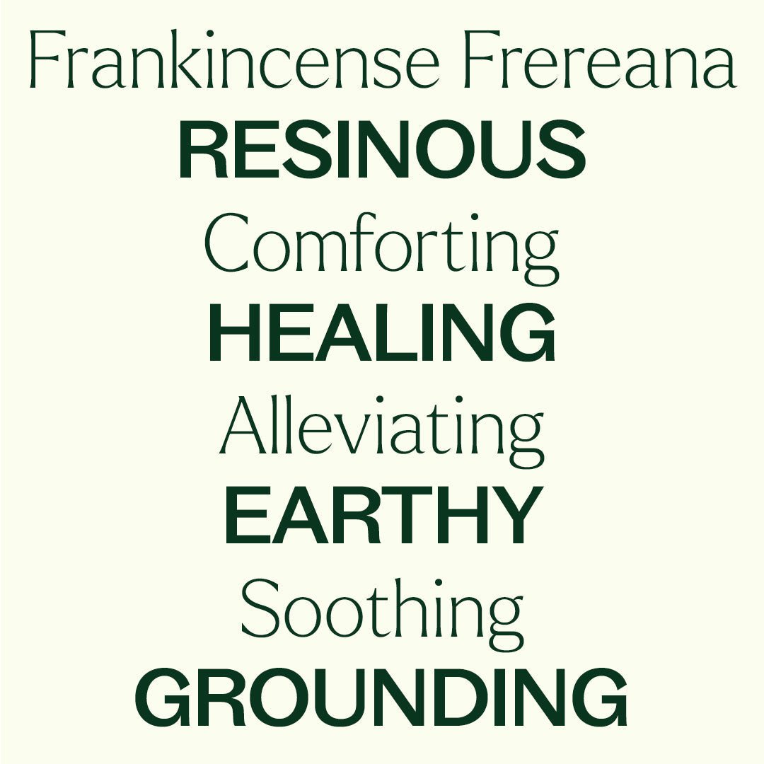 Organic Frankincense Frereana Essential Oil Plant Therapy