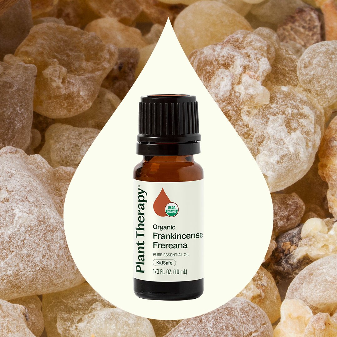 Organic Frankincense Frereana Essential Oil Plant Therapy
